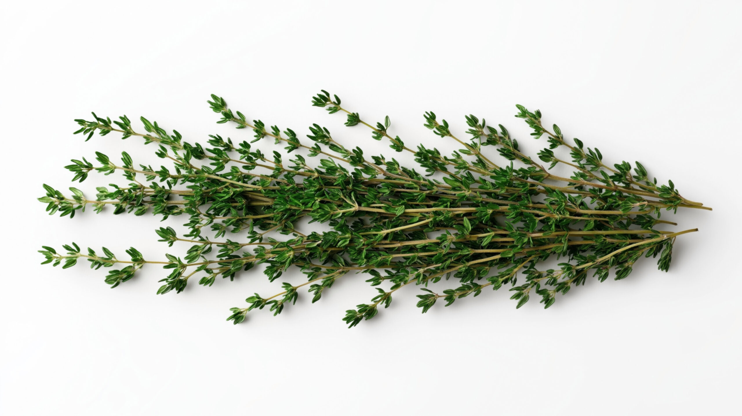 Fresh green thyme herb sprigs arranged on a white background, showing detailed leaves and stems. Fresh Green thyme
